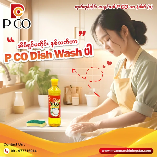 P Co (Dish Wash) 